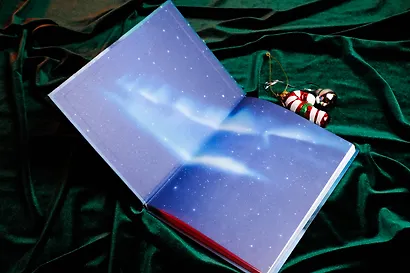 Пони Колокольчик. Чудеса на Северном полюсе - фото 7