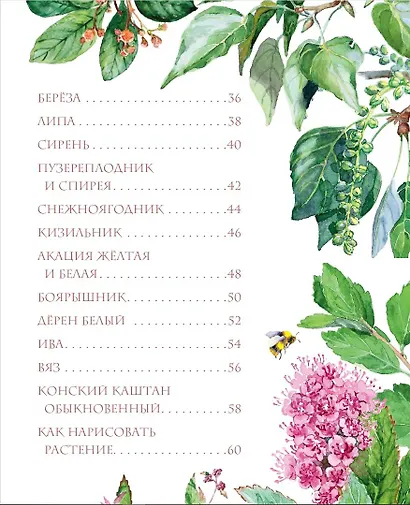 Растения в городе - фото 8