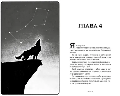Терра и тайна созвездий. Книга I - фото 5