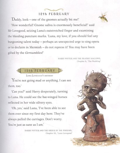 Harry Potter - A Magical Year : The Illustrations of Jim Kay - фото 7