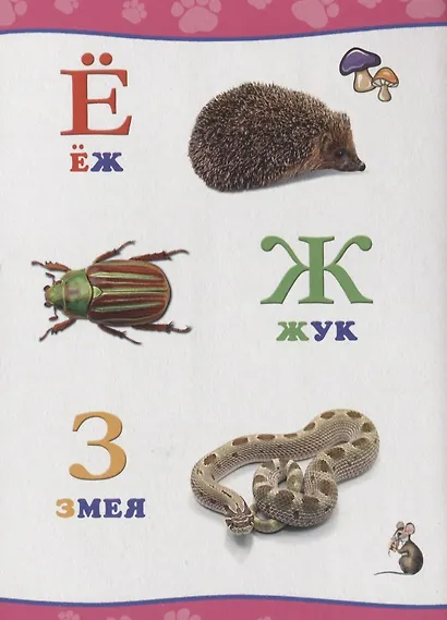 Обо всём на свете.  Алфавит - фото 4