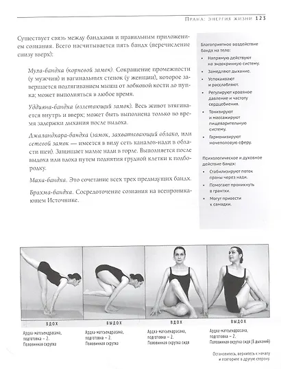 Дживамукти-Йога. Практика освобождения тела и духа - фото 6