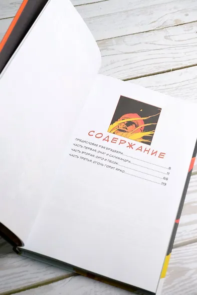 451° по Фаренгейту. Графический роман - фото 10