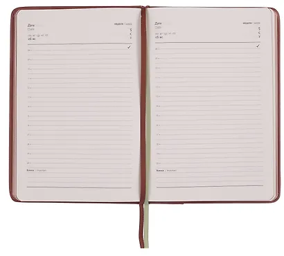 Ежедневник недат. А5 160л "Пике" оливковый, кожзам, тв.переплет, аппликация из иск.кожи, тисн.фольгой, обстрочка, офсет, справ.мат-лы, 2 ляссе, инд.уп - фото 6