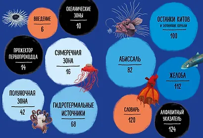 Мир вокруг тебя. Тайны мирового океана - фото 3