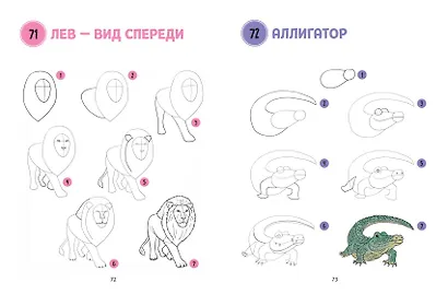 Большая книга животных. 300 рисунков шаг за шагом - фото 7