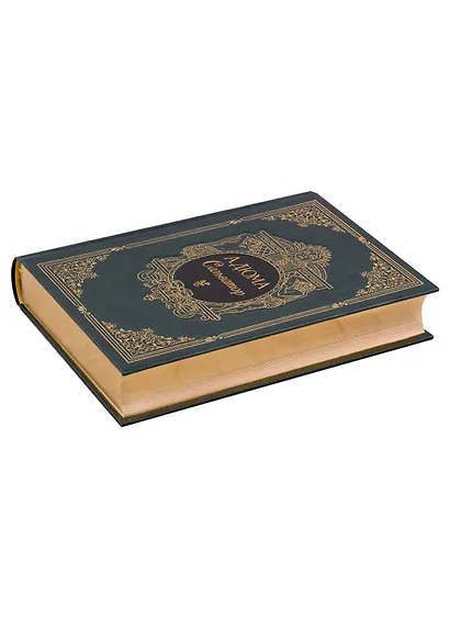 Сальватор, в двух томах - фото 11