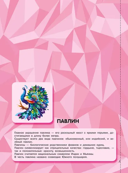 Птицы и подводный мир - фото 5