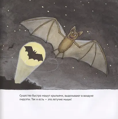 Удивительные летучие мыши - фото 2