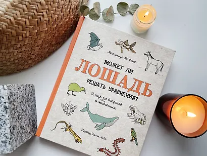 Может ли лошадь решать уравнения? И ещё 320 вопросов о животных - фото 8