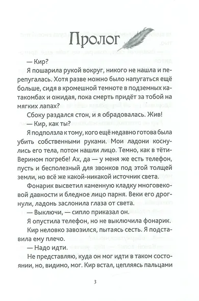 Дева и Ворон - фото 4