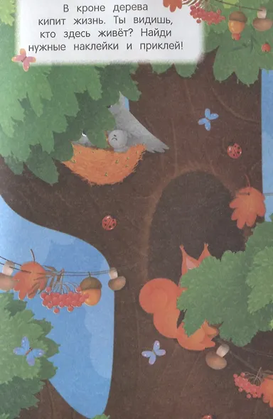 В лесу. Найди меня - фото 3