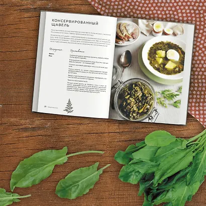КОНСЕРВАЦИЯ — ЭЛЕМЕНТАРНО! Кулинарная книга заготовок - фото 6