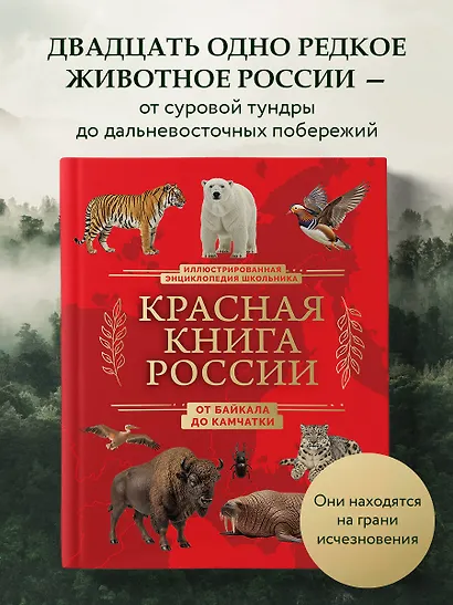 Красная книга России. От Байкала до Камчатки. Иллюстрированная энциклопедия школьника (48 стр.) - фото 4