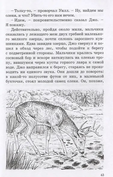 Скауты в лесах - фото 5