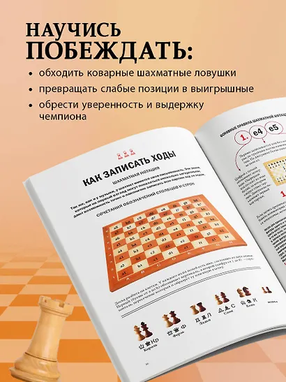 Большая книга шахмат: от классики до современных тенденций. Правила, тактические приемы и лучшие стратегии - фото 6