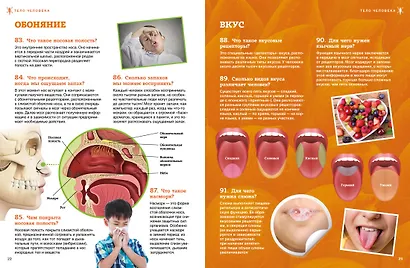 Тело человека - фото 8