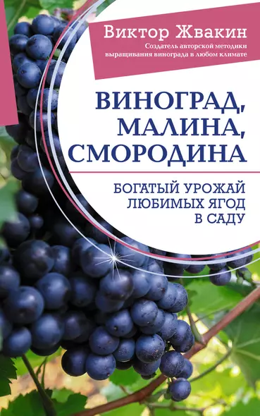 Виноград, малина, смородина. Богатый урожай любимых ягод в саду - фото 1