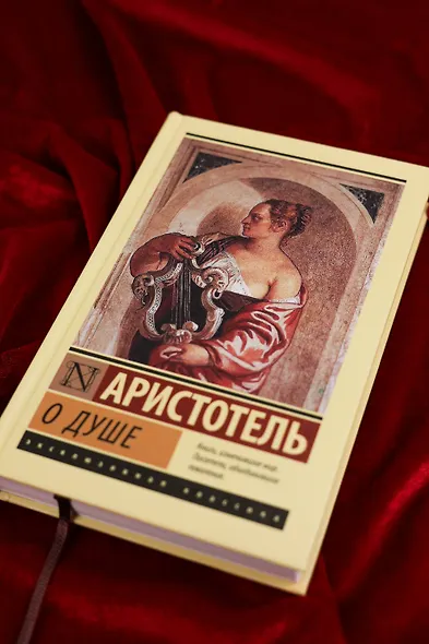 О душе - фото 5