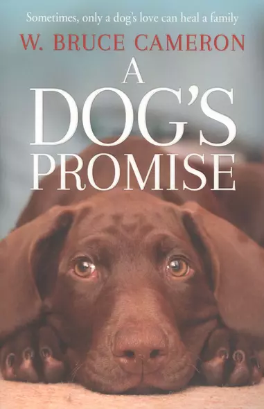 A Dog’s Promise - фото 1