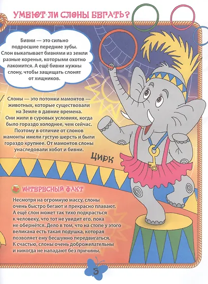 Дикие животные - фото 2