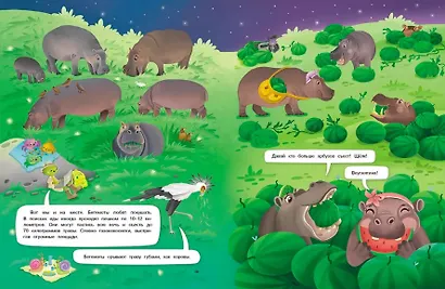 Интервью вприпрыжку. Бегемоты - фото 5