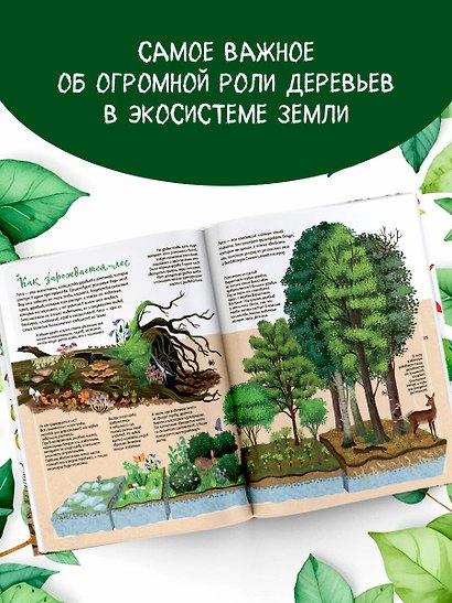 Энциклопедия деревьев мира - фото 4