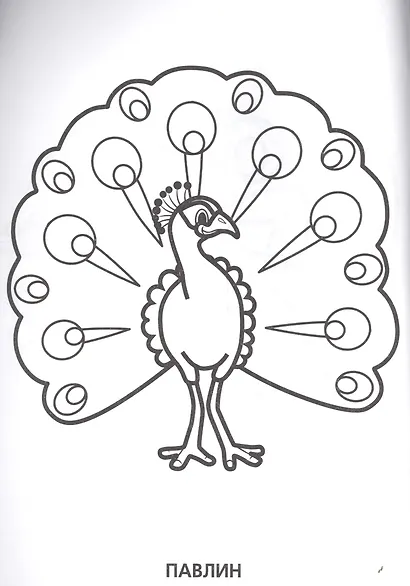 Животные. Супер-раскраска. (простая раскраска для маленьких, 64 картинки.) - фото 6