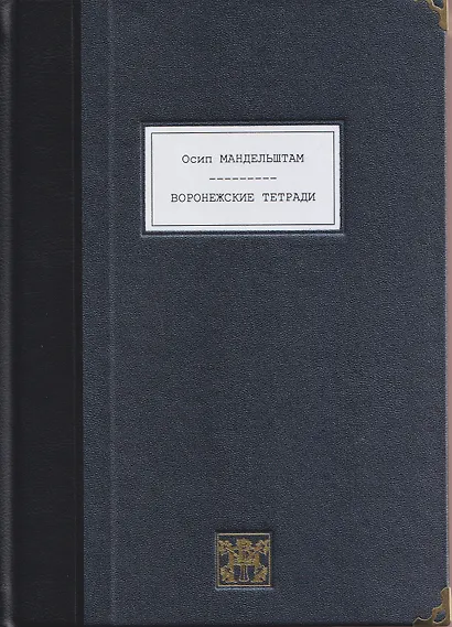 Воронежские тетради - фото 11