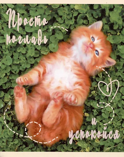 Тетрадь в клетку Listoff, "Погладь котика", 48 листов, в ассортименте - фото 5