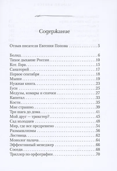Тихое дыхание России - фото 2