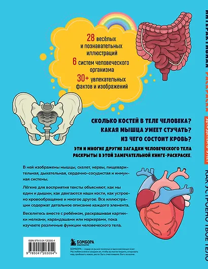 Как устроено твое тело. Интерактивная раскраска - фото 2