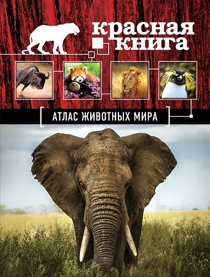 Атлас животных мира - фото 1