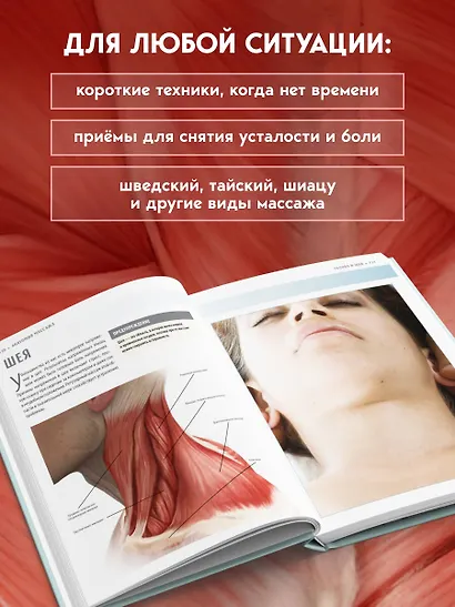 Анатомия массажа. Основы массажа нижней и верхней части тела с анатомическими иллюстрациями - фото 7