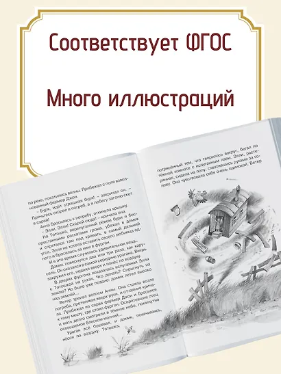 Волшебник Изумрудного города - фото 4