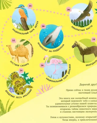 Удивительные животные и где они обитают - фото 7