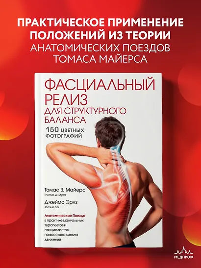 Фасциальный релиз для структурного баланса - фото 4