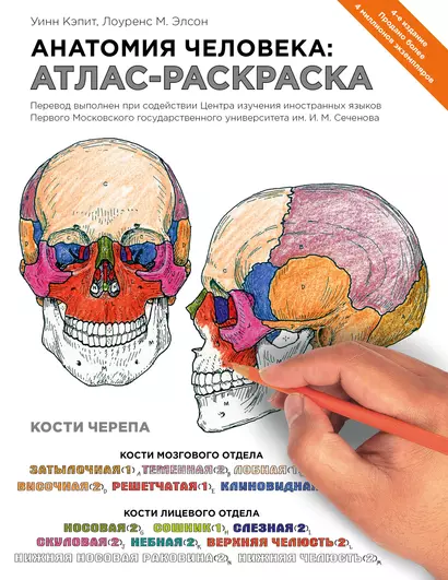 Анатомия человека: атлас-раскраска. 4 -е изд. - фото 1