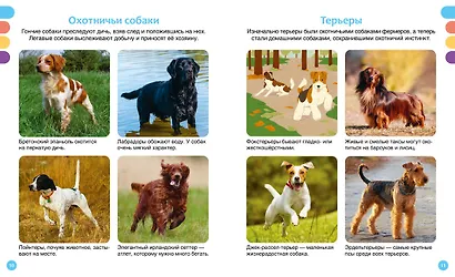 Любимые питомцы - фото 13