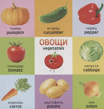 Английский язык. Мои первые слова - фото 3