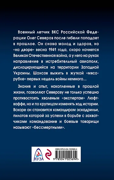 Сталинский сокол. Комэск - фото 2