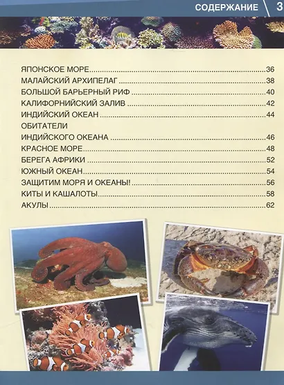 Энциклопедия. Моря и океаны. 365 фактов - фото 3