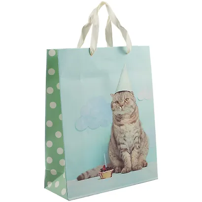 Пакет "Cat. Basic", А4 - фото 1