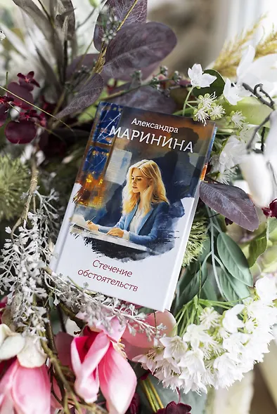 Стечение обстоятельств (формат клатчбук) - фото 9