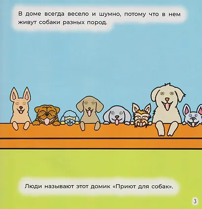 Далматин «Роко» - фото 4