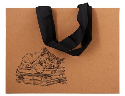 Пакет А5 21*27,5*8 "Книгочей" крафт, горизонт., жен. - фото 1