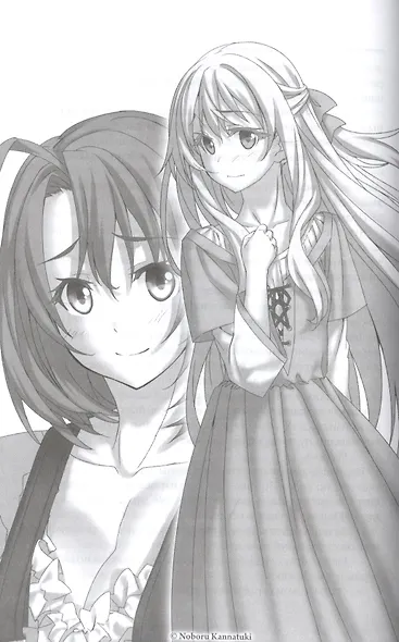 Убийца гоблинов. Том 4 - фото 5