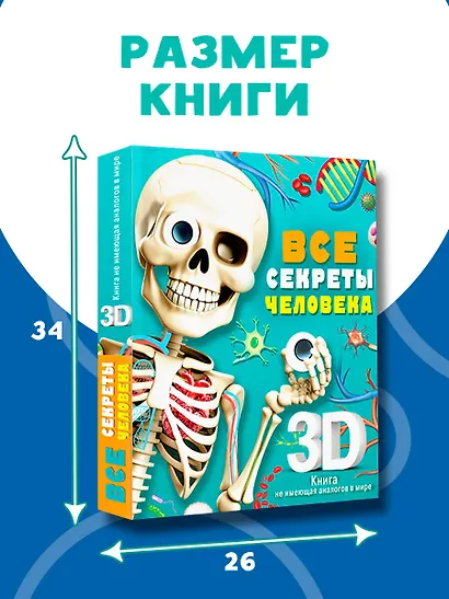 Все секреты человека - фото 11