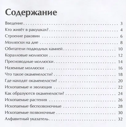 ИЭШ Ракушки и окаменелости - фото 2