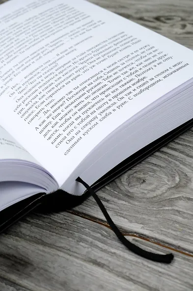 Куджо - фото 14